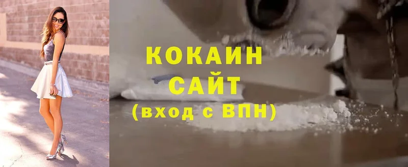 кракен ТОР  дарк нет наркотические препараты  Cocaine 98%  Курлово 