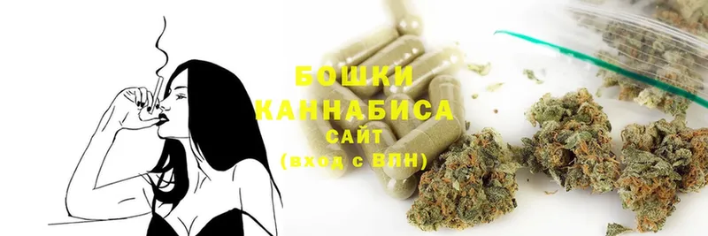 купить наркотики сайты  Курлово  Каннабис White Widow 